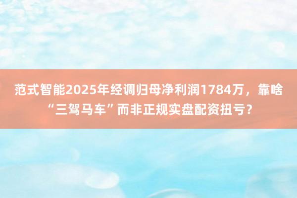 范式智能2025年经调归母净利润1784万,靠啥“三驾马车”而非正规实盘配资扭亏?
