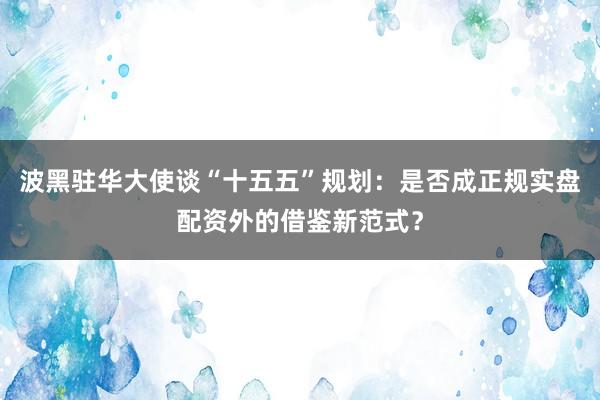 波黑驻华大使谈“十五五”规划：是否成正规实盘配资外的借鉴新范式？