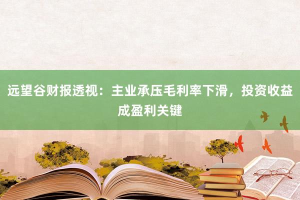 远望谷财报透视：主业承压毛利率下滑，投资收益成盈利关键