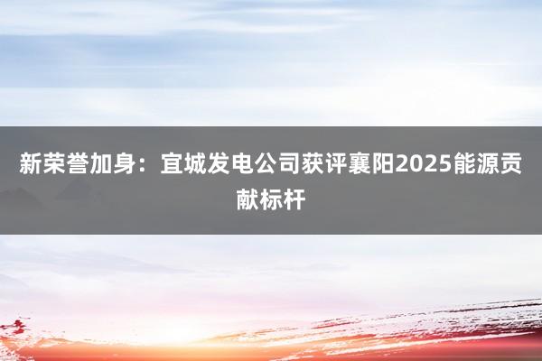 新荣誉加身：宜城发电公司获评襄阳2025能源贡献标杆