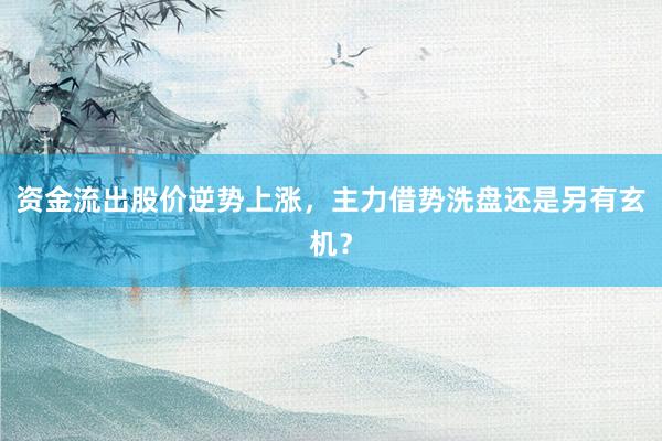资金流出股价逆势上涨,主力借势洗盘还是另有玄机?