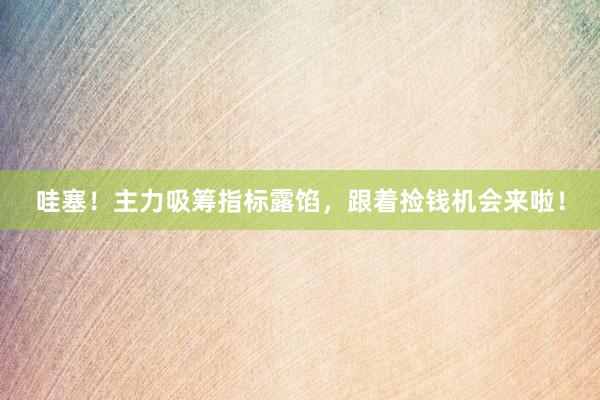 哇塞！主力吸筹指标露馅，跟着捡钱机会来啦！