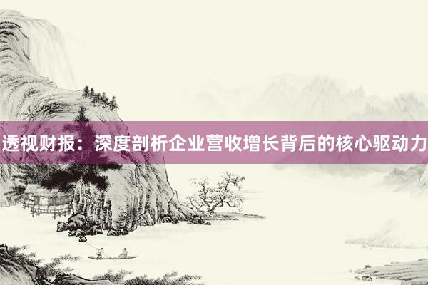 透视财报：深度剖析企业营收增长背后的核心驱动力