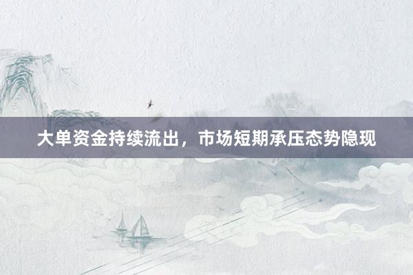 大单资金持续流出,市场短期承压态势隐现