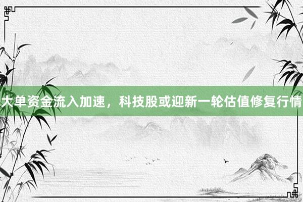 大单资金流入加速，科技股或迎新一轮估值修复行情