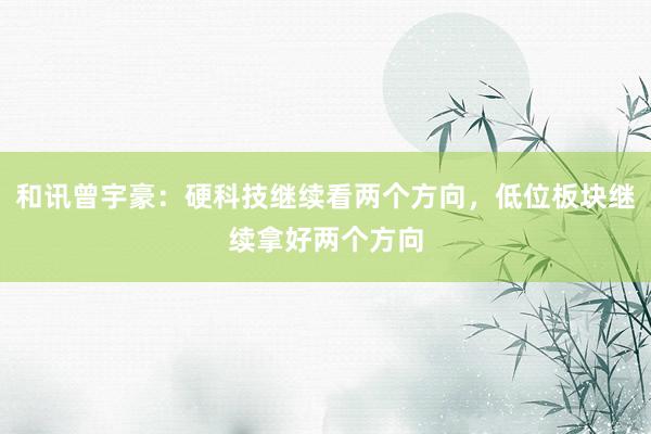 和讯曾宇豪：硬科技继续看两个方向，低位板块继续拿好两个方向