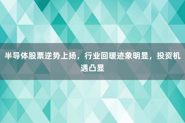 半导体股票逆势上扬，行业回暖迹象明显，投资机遇凸显