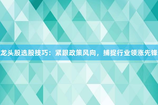 龙头股选股技巧：紧跟政策风向，捕捉行业领涨先锋