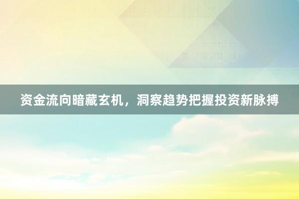资金流向暗藏玄机，洞察趋势把握投资新脉搏