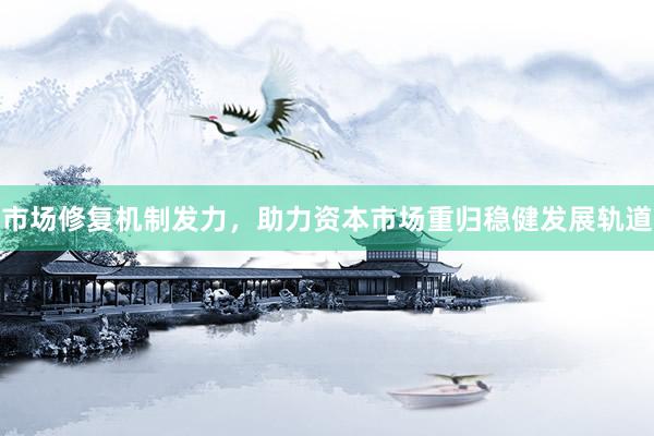 市场修复机制发力，助力资本市场重归稳健发展轨道