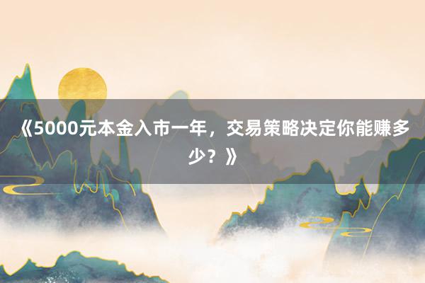 《5000元本金入市一年，交易策略决定你能赚多少？》