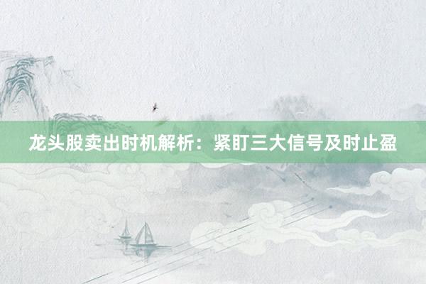 龙头股卖出时机解析:紧盯三大信号及时止盈