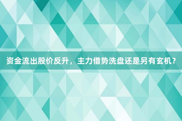 资金流出股价反升，主力借势洗盘还是另有玄机？