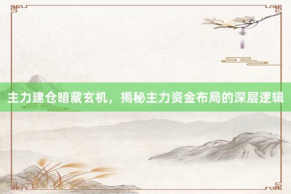 主力建仓暗藏玄机，揭秘主力资金布局的深层逻辑