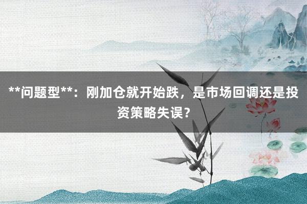 **问题型**：刚加仓就开始跌，是市场回调还是投资策略失误？