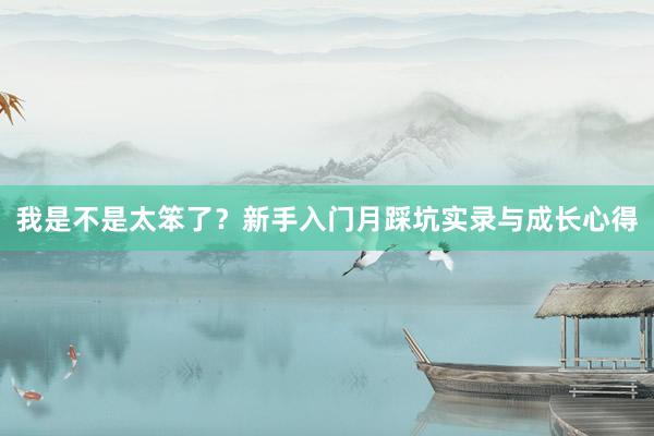 我是不是太笨了？新手入门月踩坑实录与成长心得