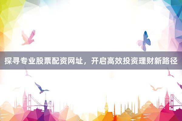 探寻专业股票配资网址，开启高效投资理财新路径