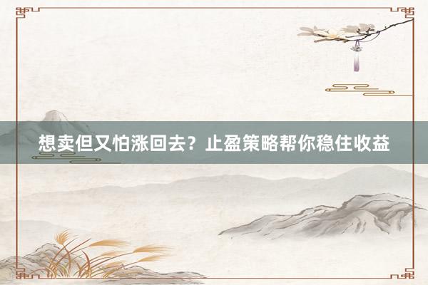 想卖但又怕涨回去？止盈策略帮你稳住收益